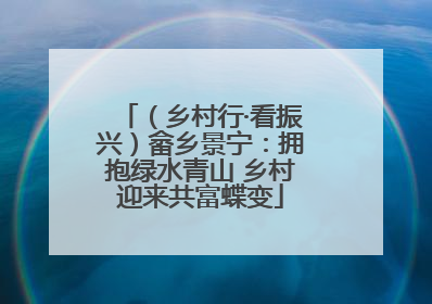 （乡村行·看振兴）畲乡景宁：拥抱绿水青山 乡村迎来共富蝶变