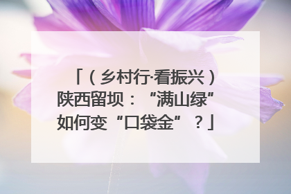 （乡村行·看振兴）陕西留坝：“满山绿”如何变“口袋金”？