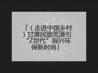 （走进中国乡村）甘肃民勤荒漠引“Z世代”探兴环保新时尚