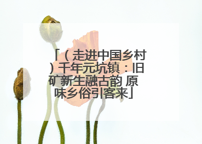 （走进中国乡村）千年元坑镇：旧矿新生融古韵 原味乡俗引客来