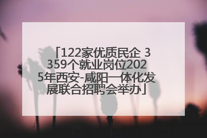 122家优质民企 3359个就业岗位2025年西安-咸阳一体化发展联合招聘会举办