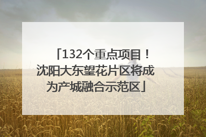 132个重点项目！沈阳大东望花片区将成为产城融合示范区