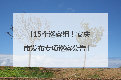 15个巡察组！安庆市发布专项巡察公告