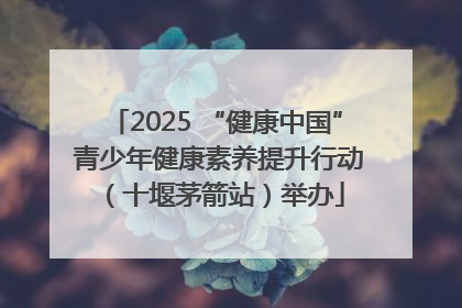 2025 “健康中国” 青少年健康素养提升行动（十堰茅箭站）举办