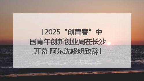2025“创青春”中国青年创新创业周在长沙开幕 阿东沈晓明致辞