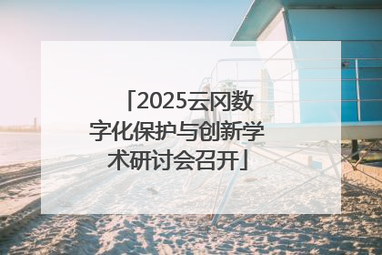 2025云冈数字化保护与创新学术研讨会召开