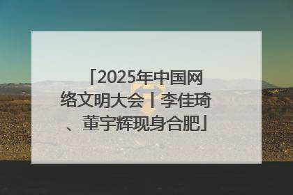 2025年中国网络文明大会丨李佳琦、董宇辉现身合肥
