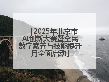 2025年北京市AI创新大赛暨全民数字素养与技能提升月全面启动