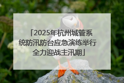 2025年杭州城管系统防汛防台应急演练举行 全力迎战主汛期