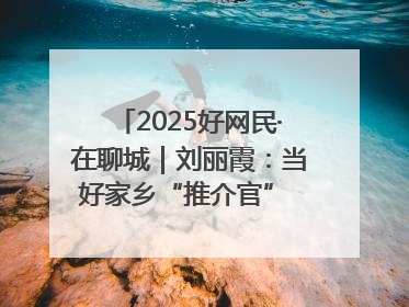 2025好网民·在聊城｜刘丽霞：当好家乡“推介官” 秀出乡村新风貌