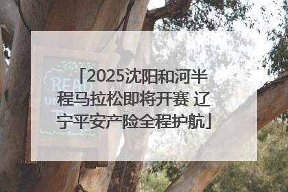2025沈阳和河半程马拉松即将开赛 辽宁平安产险全程护航