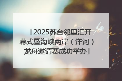 2025苏台邻里汇开幕式暨海峡两岸（洋河）龙舟邀请赛成功举办