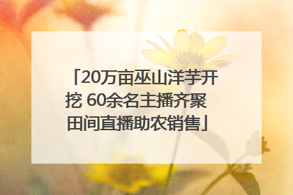 20万亩巫山洋芋开挖 60余名主播齐聚田间直播助农销售