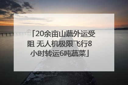 20余亩山蔬外运受阻 无人机极限飞行8小时转运6吨蔬菜