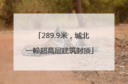 289.9米，城北一幢超高层建筑封顶