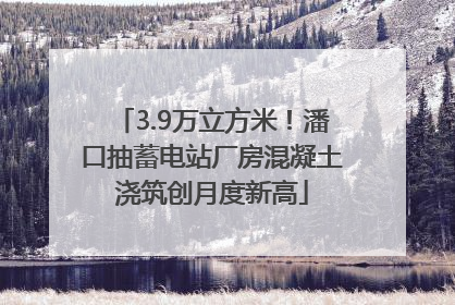 3.9万立方米！潘口抽蓄电站厂房混凝土浇筑创月度新高