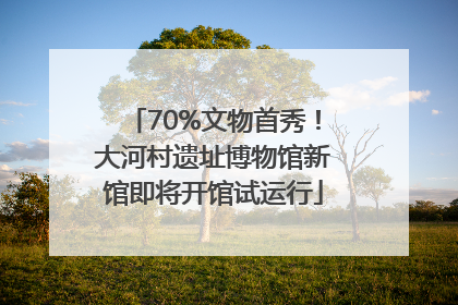 70%文物首秀！大河村遗址博物馆新馆即将开馆试运行