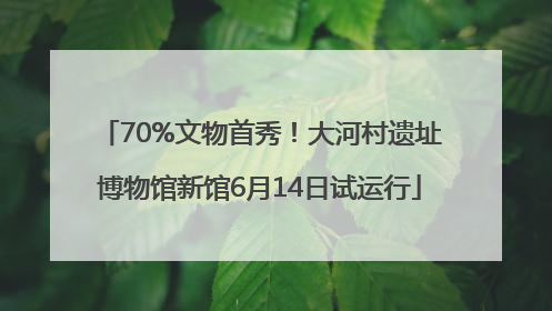 70%文物首秀！大河村遗址博物馆新馆6月14日试运行