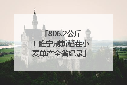 806.2公斤！睢宁刷新稻茬小麦单产全省纪录