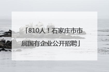 810人！石家庄市市属国有企业公开招聘