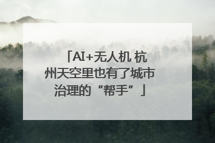 AI+无人机 杭州天空里也有了城市治理的“帮手”