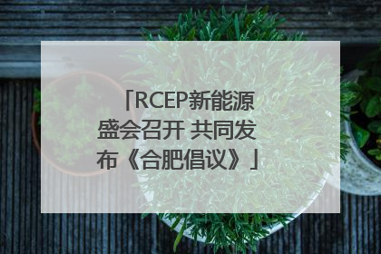 RCEP新能源盛会召开 共同发布《合肥倡议》