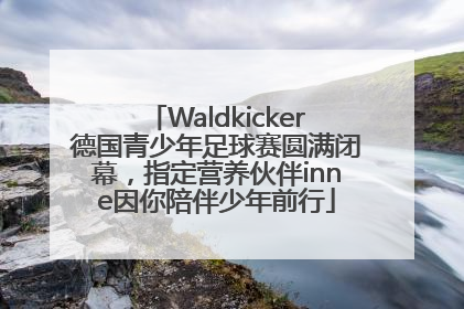 Waldkicker德国青少年足球赛圆满闭幕，指定营养伙伴inne因你陪伴少年前行